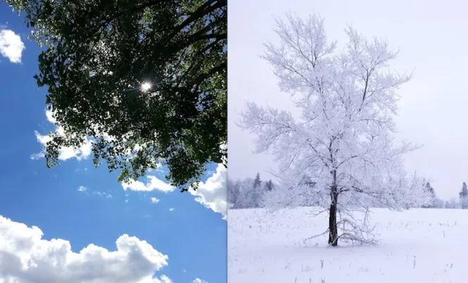 寒暖差による体内温度調整の仕組みと身体の変化を医学的に理解し実践できる対策ガイド